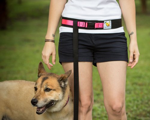 Squishy Face Studio Hands Free Dog Leash Belt, Small/Medium, Neon Pink