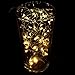 8 Modes String Lights,eTopxizu 33ft 100LED Warm White Battery Operated Powered Copper Wire Starry String Lights With Remote for Outdoor,Indoor,Wedding,Christmas,Party warm,Home,Bedroom,Living Room