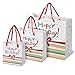 Birthday Gift Bags Rainbow Confetti Bow Design 3 Pack Small Medium Large Assortment