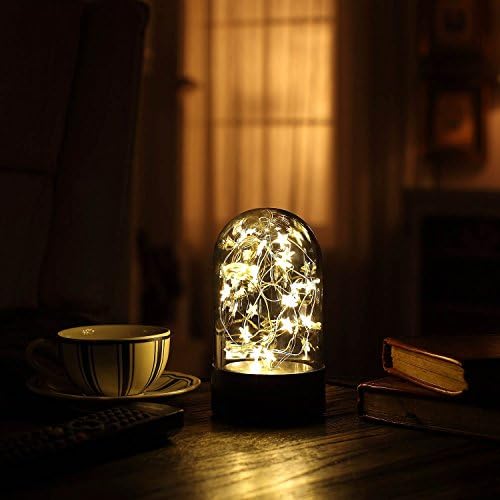 Decorative Fairy Night Light, XY Decor 6.5" Dual Power Operated Table/Desk Lamp with Warm White Star String Lights Inside for Home Decor and Holiday Decoration.