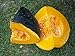 Caribbean Pumpkin Cucurbita Moschata Calabaza 50 Seeds