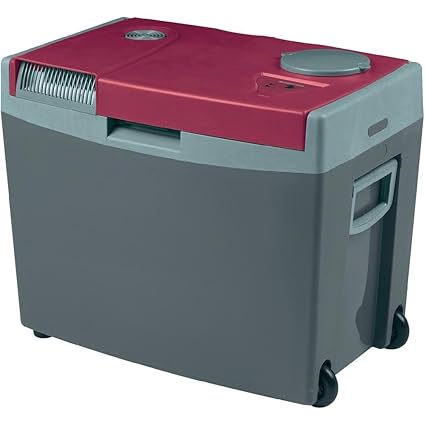 Mobicool G35 Nevera Portátil Termoelectrica AC/DC, 12/24/230 V, 35 ...