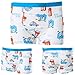 DOURA Boy's Comfortable Cotton Stretch Shorts Boxer Briefs 5 Pack Underwear (L)