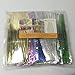 Weststone Brand - 800pcs 4
