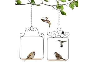 Loopunk Hummingbird Swings and Perches Metal Frame, Bird Swing with 2 Hanging Chain for Hanging Indoor, Outdoor, Trunk, Lawn,