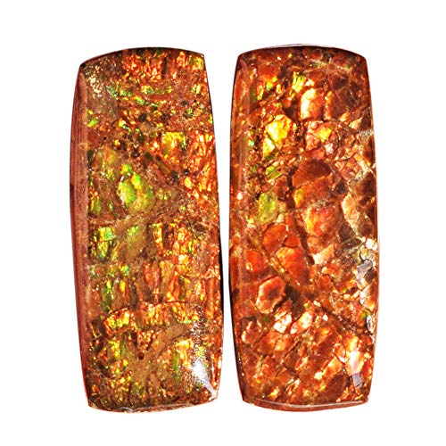 ABC Jewelry Mart Natural Red Green Flashy Ammolite Pair Cabochon, Size 25x10x5 MM, Earring Pair Stone, Ammonites, AG-12140