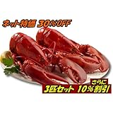 特大活ロブスター（オマール海老[エビ]）アメリカ東海岸産 450g 3尾 バーベキューに最適 ぷりっぷり！ジューシー！