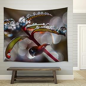 a Macro Shot of Leaves Covered in Dewdrops - Fabric Wall Tapestry Home Decor - 51x60 inches