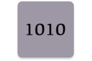 Number 1010 Angel Meaning and Significance