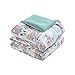 Comfort Spaces Paco 3 Piece XL/Twin Comforter Set Kitty Cat Paris Eiffel Tower Cute Print for Toddler Kids Boys Girls All Season Down Alternative, Aqua