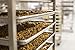 Steve's PaleoGoods, PaleoKrunch Grainless Granola Cereal - Cinnamon, 7.5oz