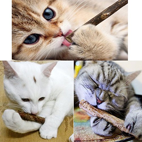 Cat Cleaning Teeth Pure Natural Catnip Pet Cat Molar Toothpaste Stick Silvervine Actinidia Fruit Matatabi Cat Snacks Sticks