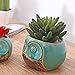 MyGift Small Owl Ceramic Succulent Planter, Flower Pot Vase, Turquoise & Brown