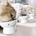 Cat Bowl with Stand - Suitable Eating Height for Pets – Easy Cleaning for You – Eco-Friendly, Raised Food Bowl – Stress-Free Meal time for Your Cats - Stoneware Feeding Station