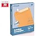 9 X 12 Self-Seal Brown Kraft Catalog Envelopes - 28lb - 30 Count, 9x12 Inch (38030)