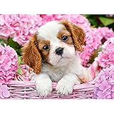 DIY 5D Diamond Painting Kits for Adults Full Drill Embroidery Paintings Rhinestone Pasted DIY Painting Cross Stitch Arts Crafts for Home Wall Decor 30x40cm/11.8×15.7Inches（Basket Puppy,Dogs)