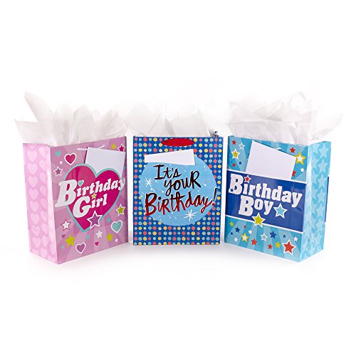 Hallmark 13" Large Birthday Gift Bag Bundle with Cards and Tissue Paper (Pack of 3) Birthday Boy and Girl