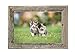 BARNWOODUSA Farmhouse 11x17 Picture Frame 1 1/2 inch Molding 100% Reclaimed Wood Rustic Natural Weathered Gray