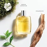 BURBERRY for Men Eau de Toilette 100 ml - Fresh Aromatic Fragrance view 3