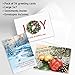 Expressions of Faith Christmas Card Assortments - Holiday Greeting Cards, Set of 32, Large 5