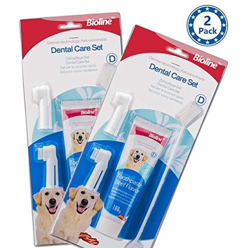 bioline 2 Pack of Dental Care Set Beef Flavor Toothpaste & Toothbrush