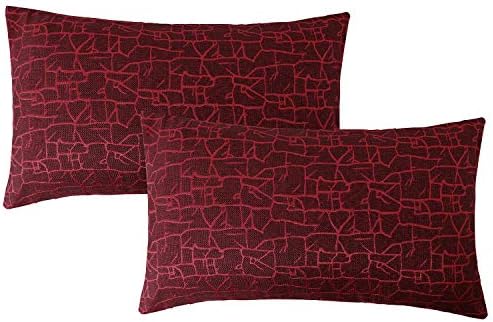 VIOAPLEM Pack of 2 Red Cushion Cover Cotton Linen Embroidery Stripe Sofa Decorative Throw Pillow Case for Home Decor 12x20 Inch