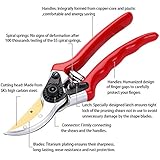 Titanium Pruning Shears - Best Pruning Tools,Pruning Snip,Tree Trimmer, Garden Shears, Hand Pruner-Included Nylon Sheath and Fancy Gift Box- Top Choice Bush, Shrub &amp; Hedge Clippers.