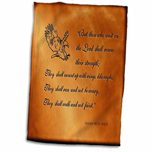 3D Rose TWL_30756_1 Isaiah 40 31 Bible Verse, 15" x 22"