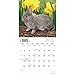 2017 Monthly Wall Calendar - Rabbits
