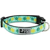 RC Pets 1 Inch Adjustable Dog Clip Collar, Medium, Pineapple Parade