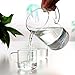 Lautechco High Borosilicate Food Grade Glass Measuring Cup Pot Kettle (500ml)