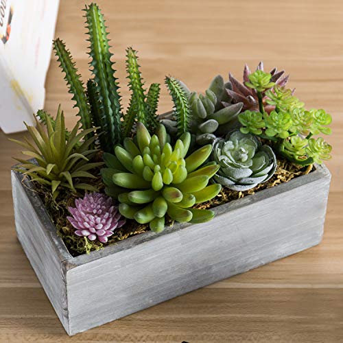 MyGift 8Inch Assorted Faux Succulent Plant Arrangement, Decorative