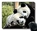 Personalized Custom Design Mouse Pad