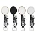 Home Button Main Key with Flex Cable Replacement Part for iPhone 7 and 7 Plus (Silver)