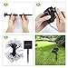 GreenClick Solar String Lights Outdoor, 50LED Fairy Starry Lights Waterproof， 23Ft Decorative String Solar Lighting for Wedding，Party Garden, Lawn, Patio, Yard, Home