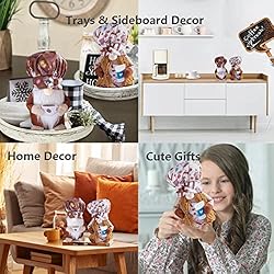 Coffee Gnomes Decor Swedish Cofe for Home Kitchen