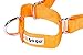 GOGO Pet Products 3/4-Inch Martingale Dog Collar, Medium, Orange