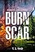 BURN SCAR: A Contemporary Disaster Thriller by T.J. Tao