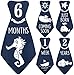 Original Stick'Nsnap (TM) 18 Baby Monthly Necktie Onesie Stickers - “Under The Blue Sea” (TM). Marine, Nautical Theme, Milestones for 12 Months +6 Bonus - Best Baby Shower Gift!