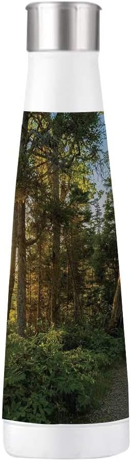 Best Vacuum Repair Highland Park