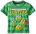 Extreme Concepts Little Boys' Turtles Group Shot Stripes Toddler T-Shirt, Green Stripes, 2T