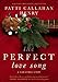 The Perfect Love Song