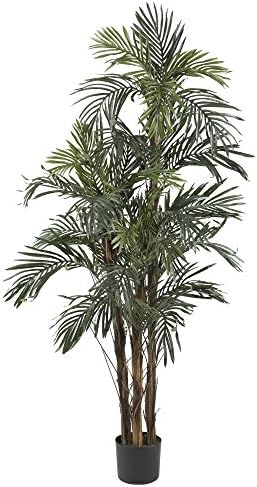 Chapman Greens [5 Foot] Tropical Artificial Robellini Palm Tree Faux Indoor Floor Plant for Home Office Decor