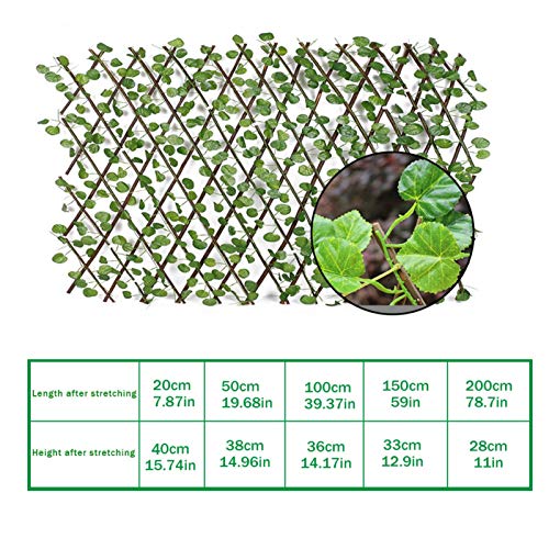 Tianxiu Holz Rankzaun Rankgitter Scherengitter ausziehbar Rankhilfe Spalier Holzgitter Blätterzaun Sichtschutz Faux… – Bild 3