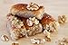 KADAIF / BAKLAVA w/Walnuts, Handcrafted Daily Fresh Made with Finest Ingredients