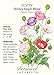 Shirley Single Blend Poppy Seeds - .50 grams