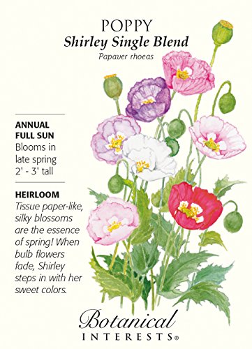 Shirley Single Blend Poppy Seeds - .50 grams