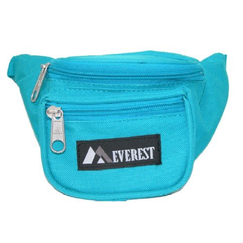 fanny waist pack