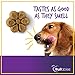 Fruitables Baked Dog Treats – Pumpkin Treats for Dogs – Healthy Low Calorie Treats – Free of Wheat, Corn and Soy – Pumpkin and Cranberry – 7 Ounces