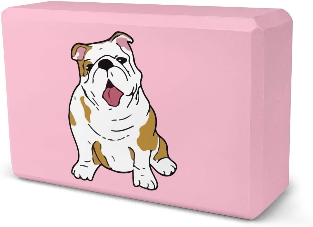 ZHUANGGEBBBI Koala Bear Yoga Brick High Density EVA Foam Yoga Blocks Improves Support and Balance Non-Slip Accessories for Yoga Pilates Meditation